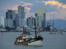 O setor da pesca responde pelo emprego e renda de 31,2 mil famílias no Estado