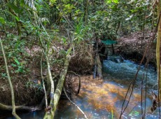 Estudo aponta impacto negativo de mudanças climáticas na agricultura