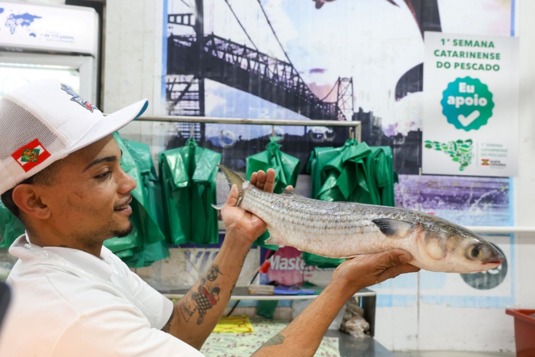 A primeira Semana Catarinense do Pescado foi lançada para promover o consumo de peixes e frutos do mar, valorizar a pesca catarinense e estimular a economia local