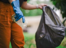 Com a chegada da primavera, as condições climáticas favorecem a proliferação do Aedes Aegypti, mosquito transmissor da dengue. Autoridades de saúde alertam para a importância de medidas preventivas neste período crítico para evitar um aumento no número de casos