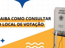 São diversas as ferramentas de busca da Justiça Eleitoral para votar com tranquilidade